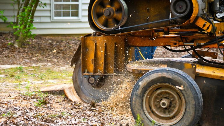 Stump Grinding