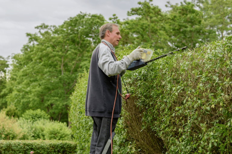Can I Trim My Neighbor's Tree In Arizona